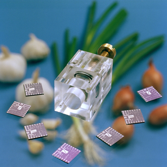 garlic, sensor module and computer chips